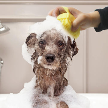 Silicone Pet Grooming Fur Brush, Soft Bath & Massage Scrubber - Yellow